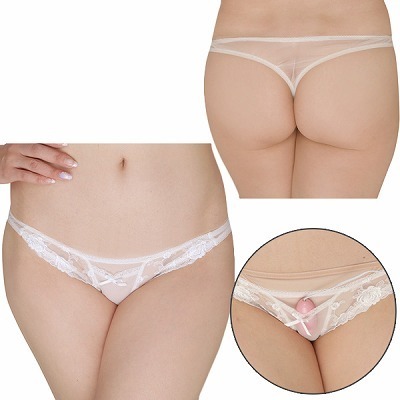 t[[XV[X[n|PbgtsobNisN[^[j