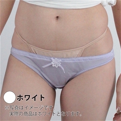 ʋC̗ǂCStobN@izCgjij