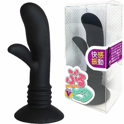 Ԃs^@isxod@ujifBh[i`jj